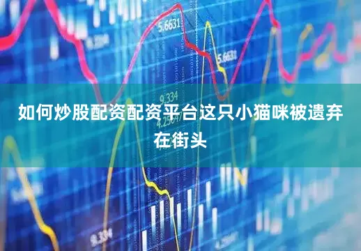 如何炒股配资配资平台这只小猫咪被遗弃在街头