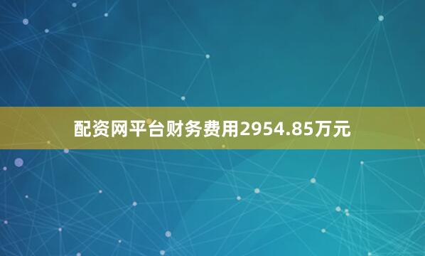 配资网平台财务费用2954.85万元